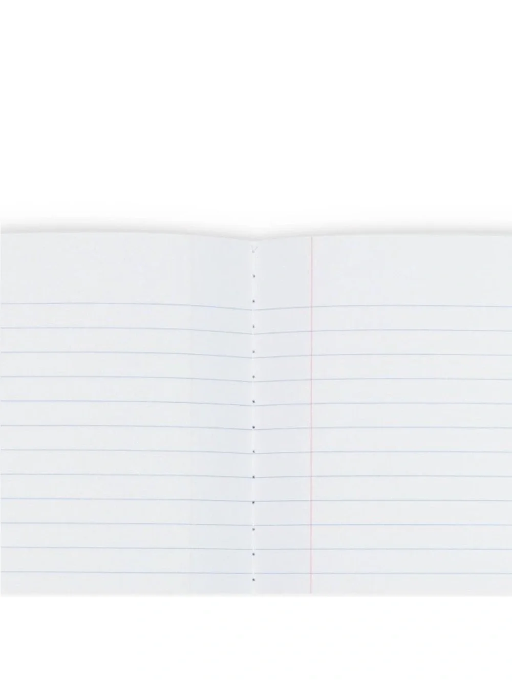 NWT LoveShackFancy x Target - Yoobi composition book Everblooming Rosettes blue